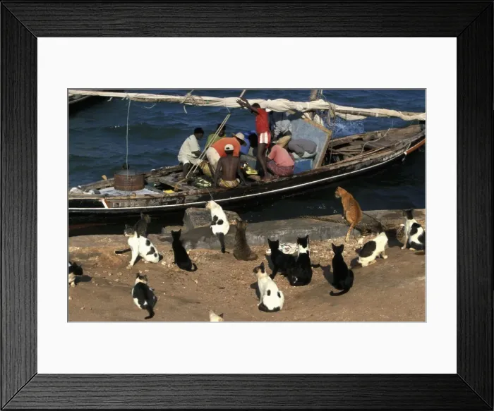 Framed Print : Picture No. 10774366 Framed Print : Picture No. 10774366