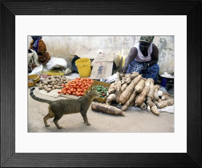 Framed Print : Picture No. 10774370 Framed Print : Picture No. 10774370