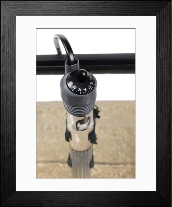 Framed Print : Picture No. 10774455 Framed Print : Picture No. 10774455
