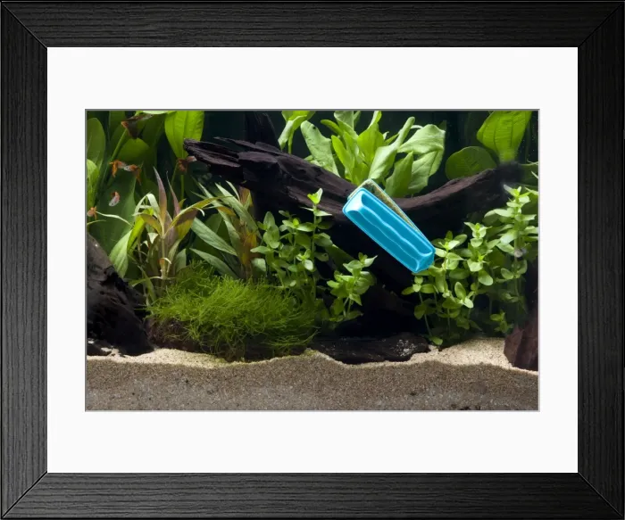 Framed Print : Picture No. 10774450 Framed Print : Picture No. 10774450