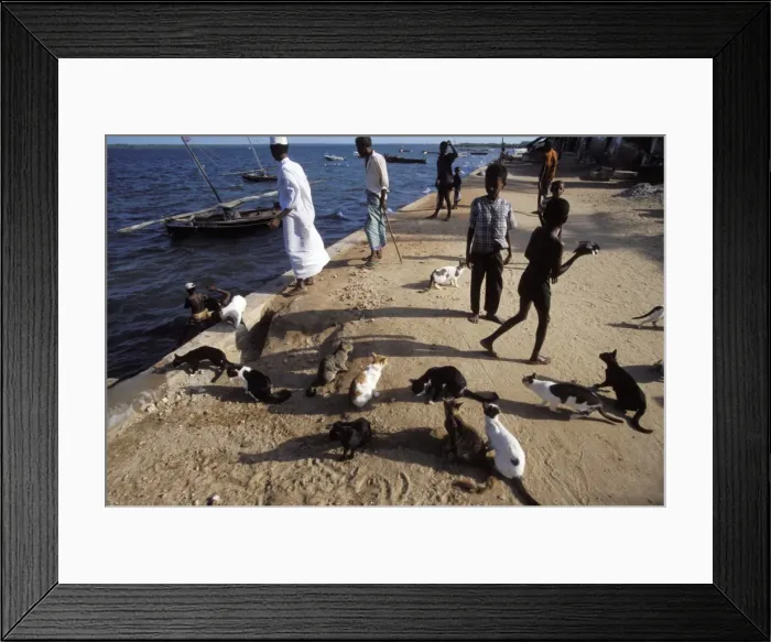 Framed Print : Picture No. 10774383 Framed Print : Picture No. 10774383