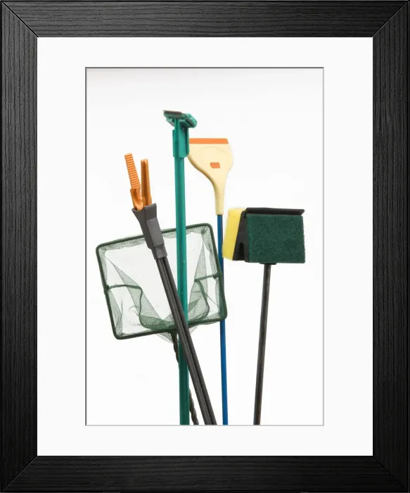 Framed Print : Picture No. 10774459 Framed Print : Picture No. 10774459