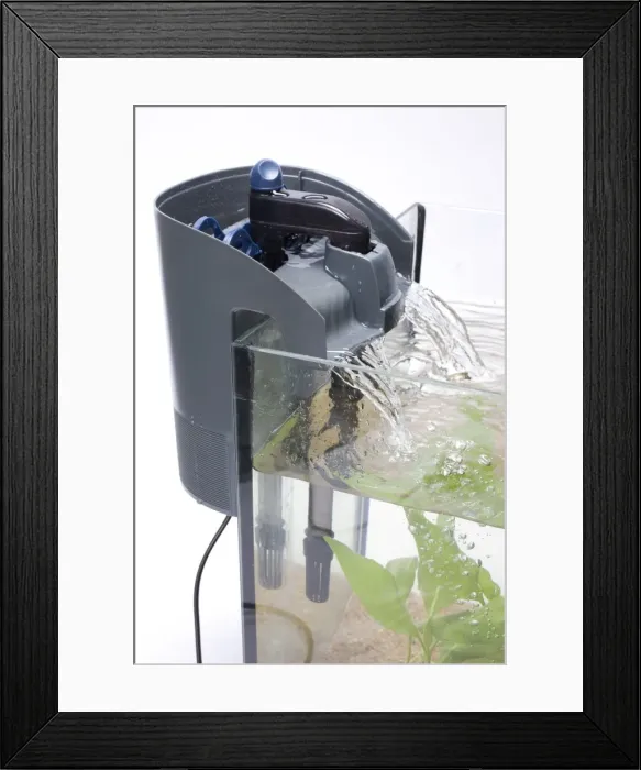 Framed Print : Picture No. 10774460 Framed Print : Picture No. 10774460