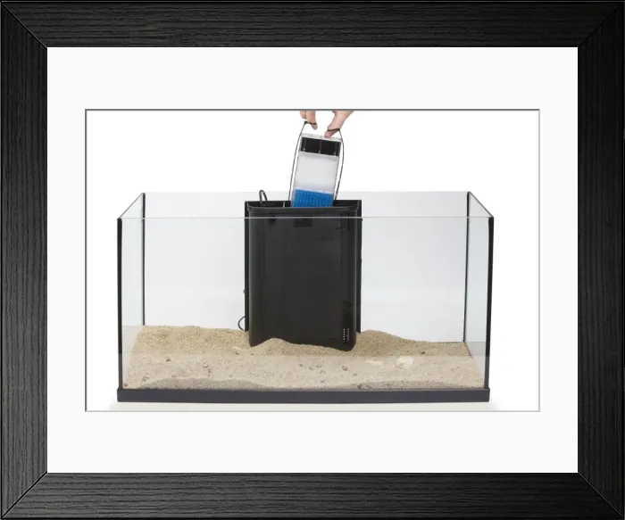 Framed Print : Picture No. 10774520 Framed Print : Picture No. 10774520