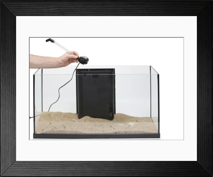 Framed Print : Picture No. 10774521