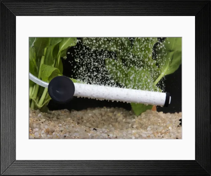 Framed Print : Picture No. 10774458 Framed Print : Picture No. 10774458