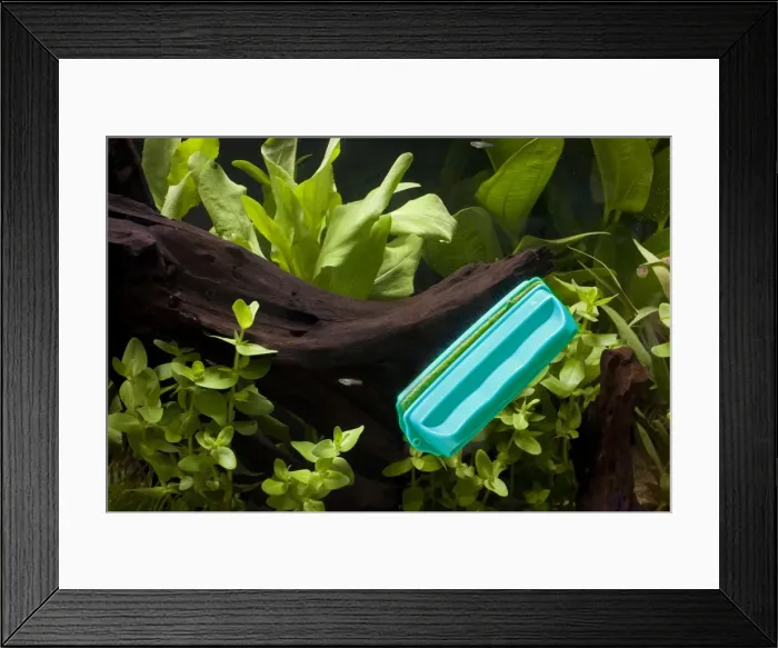 Framed Print : Picture No. 10774531