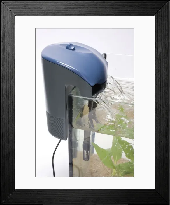 Framed Print : Picture No. 10774534 Framed Print : Picture No. 10774534
