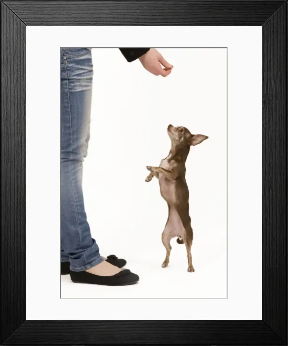 Framed Print : Picture No. 10775931 Framed Print : Picture No. 10775931