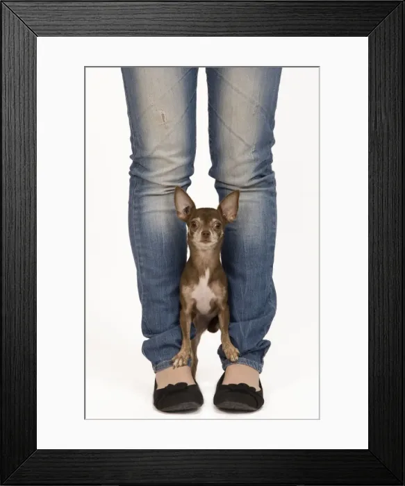 Framed Print : Picture No. 10775929 Framed Print : Picture No. 10775929