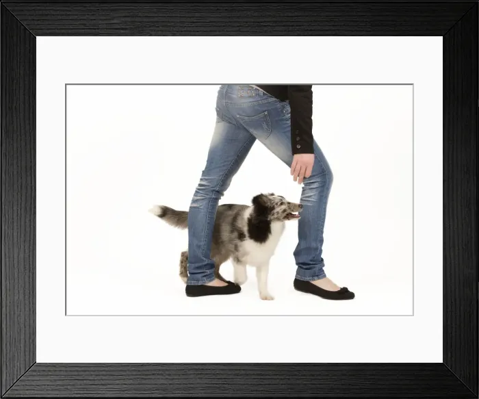 Framed Print : Picture No. 10775935 Framed Print : Picture No. 10775935