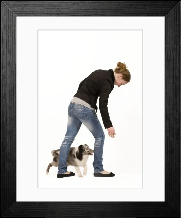 Framed Print : Picture No. 10775934 Framed Print : Picture No. 10775934