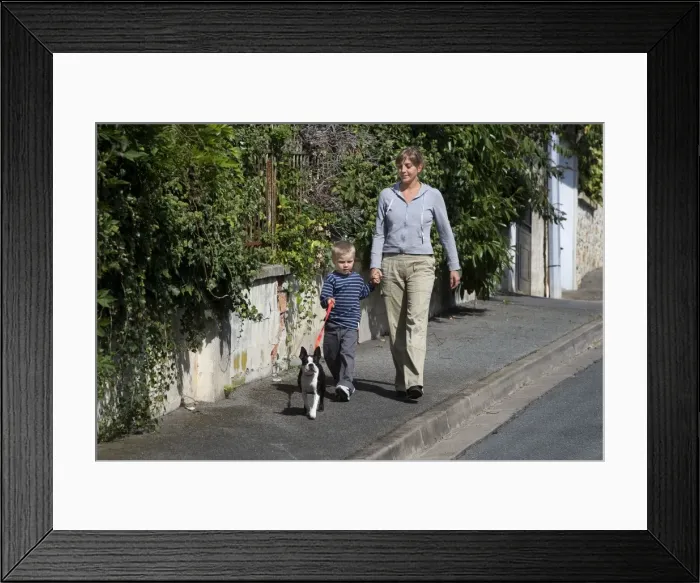 Framed Print : Picture No. 10776038 Framed Print : Picture No. 10776038
