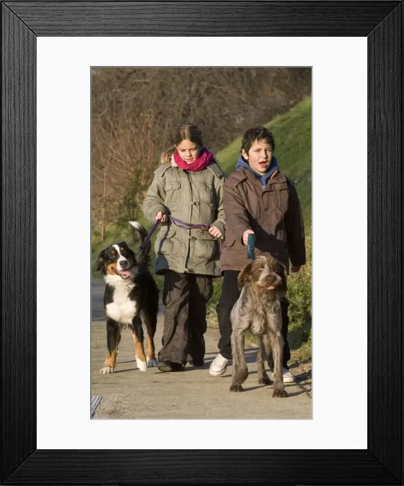Framed Print : Picture No. 10776123 Framed Print : Picture No. 10776123