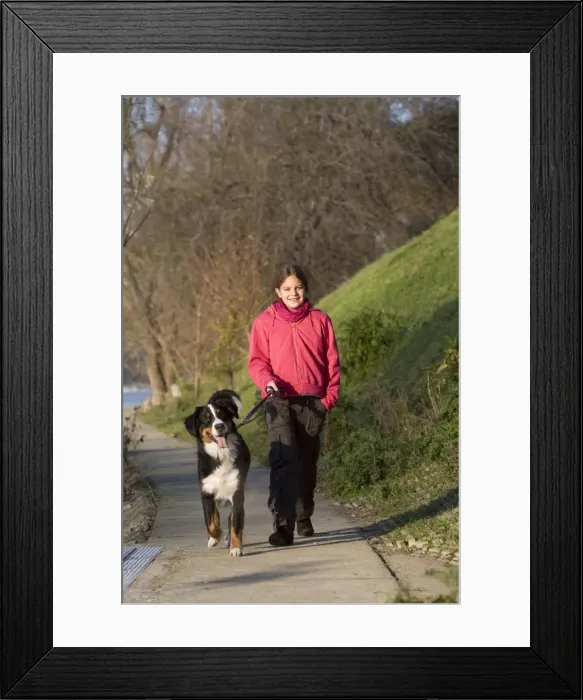 Framed Print : Picture No. 10776126 Framed Print : Picture No. 10776126