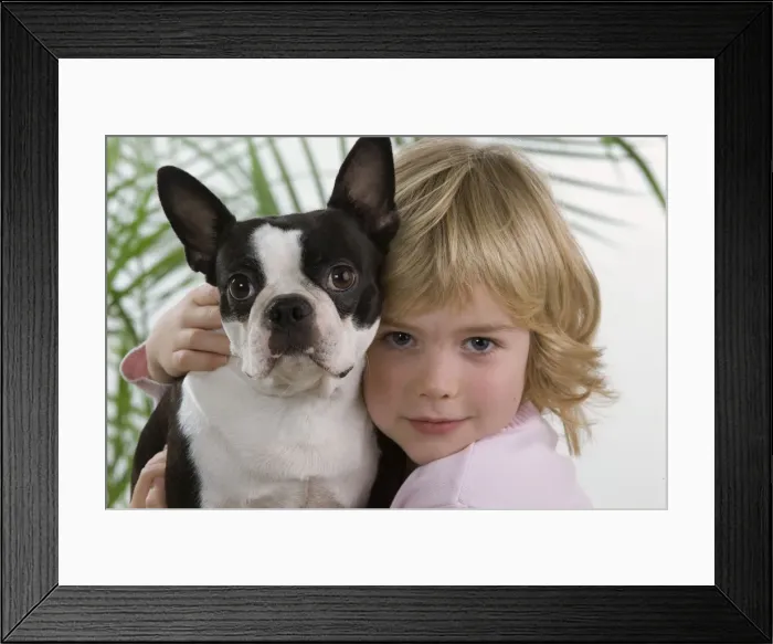 Framed Print : Picture No. 10775978 Framed Print : Picture No. 10775978