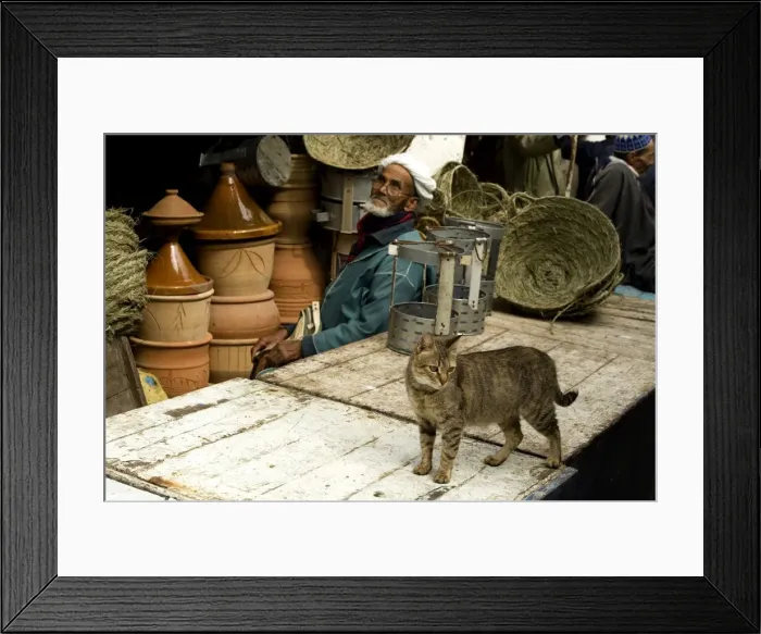 Framed Print : Picture No. 10776136 Framed Print : Picture No. 10776136