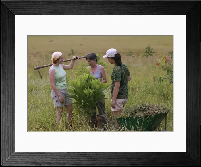 Framed Print : Picture No. 10776129 Framed Print : Picture No. 10776129