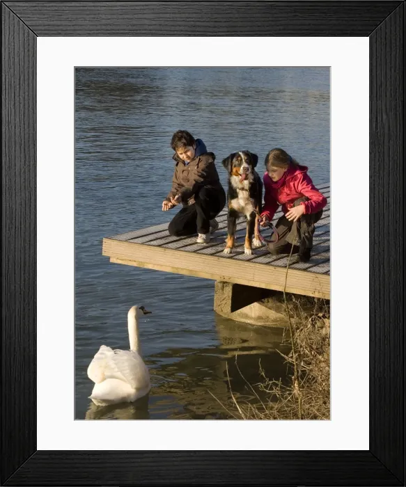 Framed Print : Picture No. 10776125 Framed Print : Picture No. 10776125