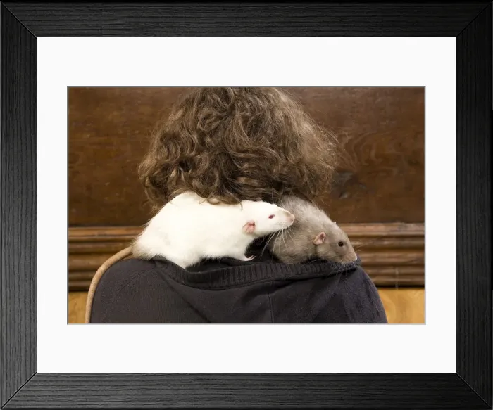 Framed Print : Picture No. 10776181 Framed Print : Picture No. 10776181