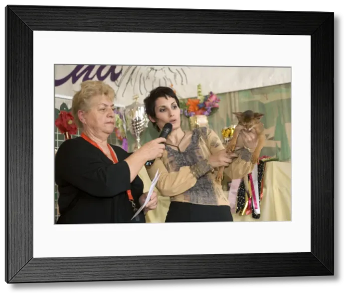 Framed Print : Picture No. 10776361