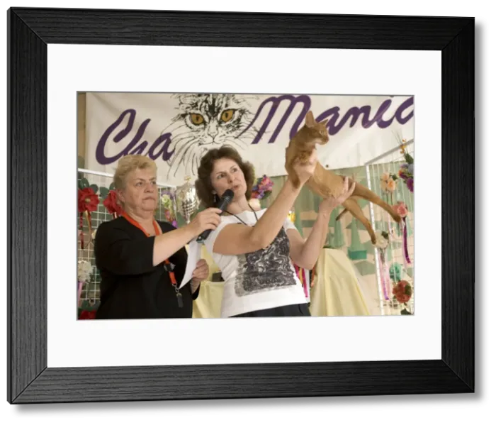 Framed Print : Picture No. 10776362 Framed Print : Picture No. 10776362