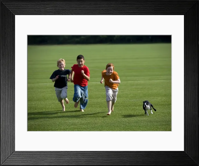 Framed Print : Picture No. 10776400 Framed Print : Picture No. 10776400