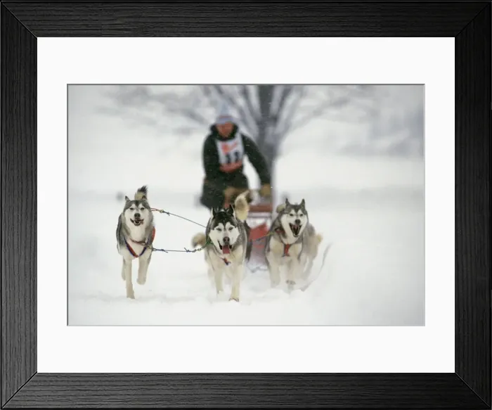 Framed Print : Picture No. 10776374 Framed Print : Picture No. 10776374