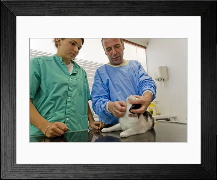 Framed Print : Picture No. 10776559 Framed Print : Picture No. 10776559