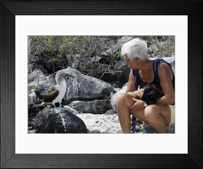 Framed Print : Picture No. 10777871 Framed Print : Picture No. 10777871