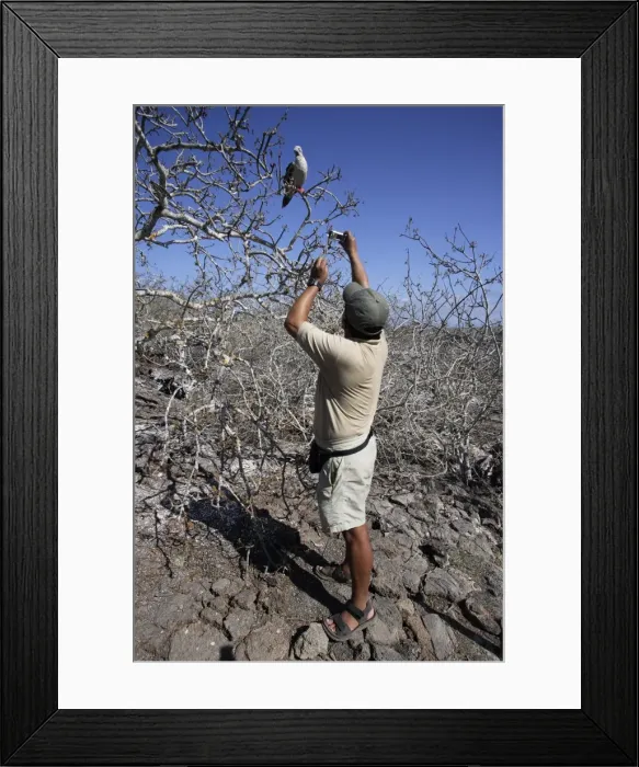 Framed Print : Picture No. 10777808 Framed Print : Picture No. 10777808