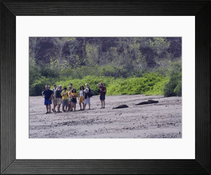 Framed Print : Picture No. 10777963 Framed Print : Picture No. 10777963