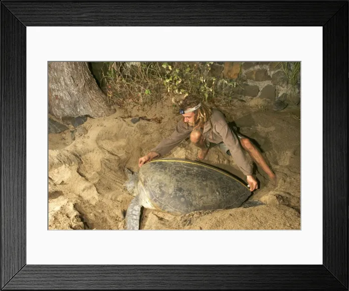 Framed Print : Picture No. 10778060 Framed Print : Picture No. 10778060