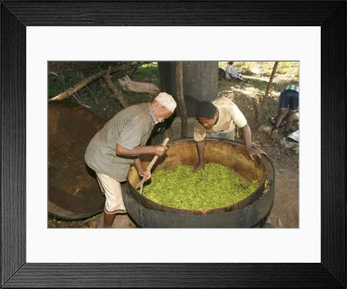 Framed Print : Picture No. 10778147 Framed Print : Picture No. 10778147