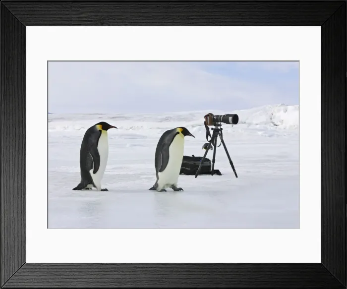 Framed Print : Picture No. 10778298 Framed Print : Picture No. 10778298