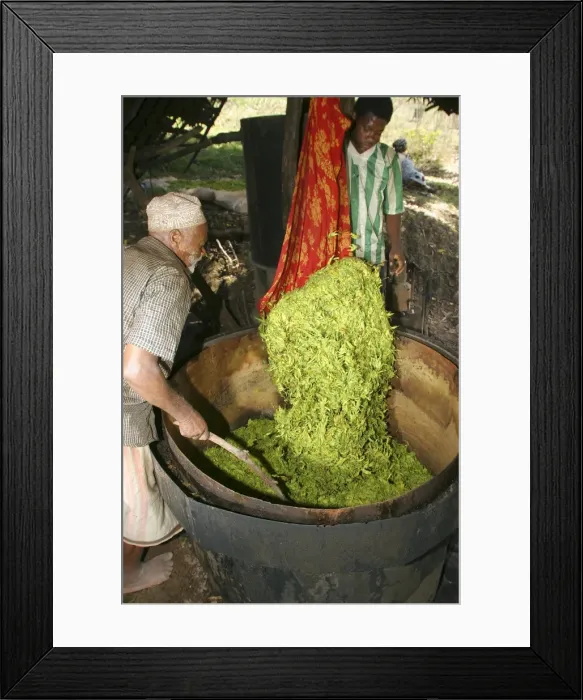 Framed Print : Picture No. 10778137 Framed Print : Picture No. 10778137