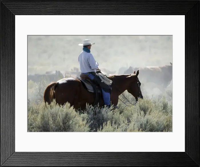 Framed Print : Picture No. 10778346 Framed Print : Picture No. 10778346