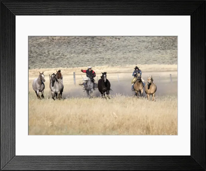 Framed Print : Picture No. 10778347 Framed Print : Picture No. 10778347