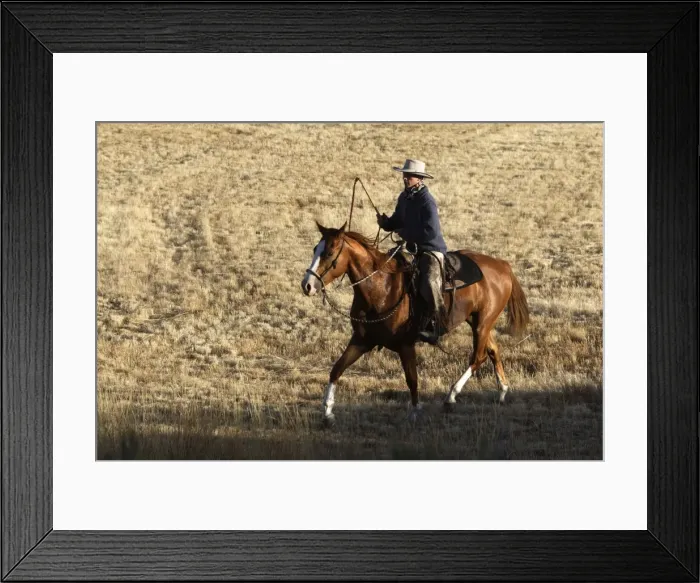 Framed Print : Picture No. 10778327 Framed Print : Picture No. 10778327