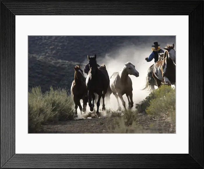Framed Print : Picture No. 10778340 Framed Print : Picture No. 10778340