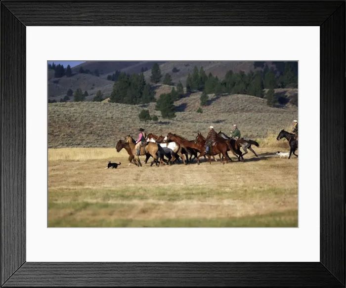 Framed Print : Picture No. 10778345 Framed Print : Picture No. 10778345