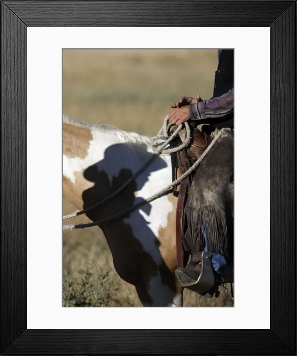 Framed Print : Picture No. 10778352 Framed Print : Picture No. 10778352