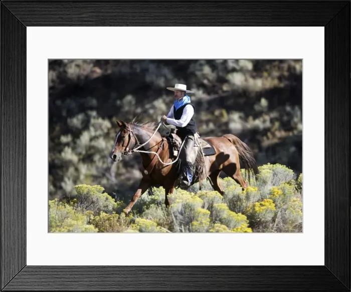 Framed Print : Picture No. 10778357 Framed Print : Picture No. 10778357
