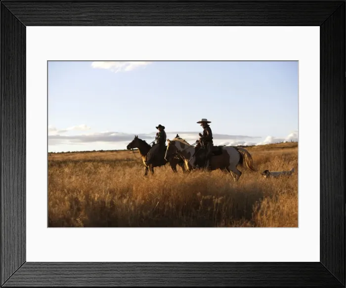 Framed Print : Picture No. 10778354 Framed Print : Picture No. 10778354