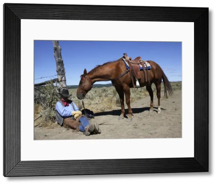 Framed Print : Picture No. 10778360 Framed Print : Picture No. 10778360