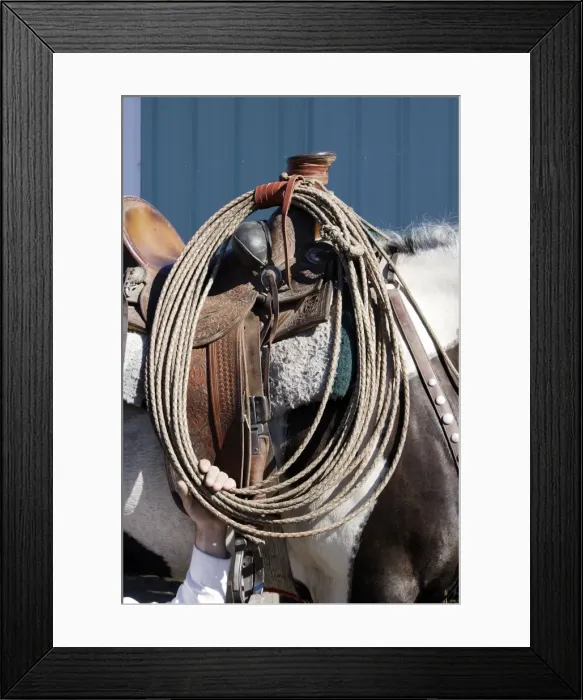 Framed Print : Picture No. 10778365 Framed Print : Picture No. 10778365