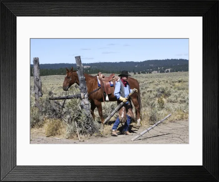 Framed Print : Picture No. 10778358 Framed Print : Picture No. 10778358