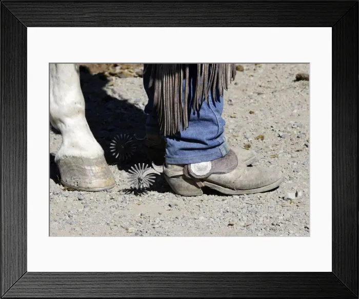 Framed Print : Picture No. 10778364