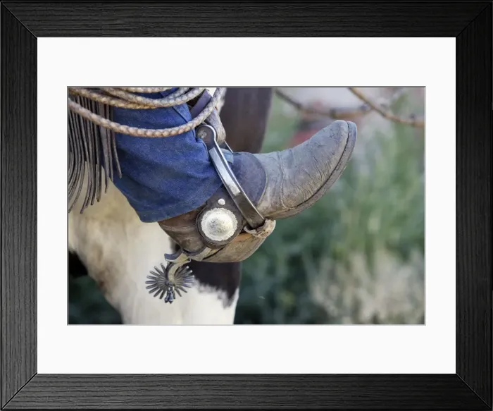 Framed Print : Picture No. 10778369 Framed Print : Picture No. 10778369