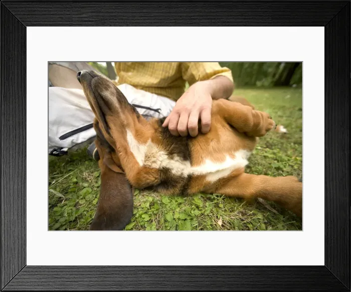 Framed Print : Picture No. 10769700 Framed Print : Picture No. 10769700